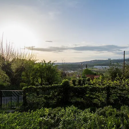San Servolo Panoramic شقة San Dorligo della Valle